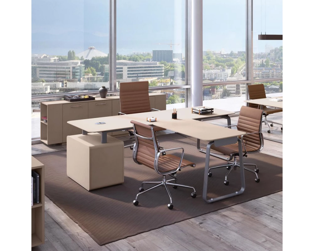 Кабинет руководителя Генезис / Genesis