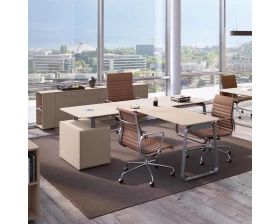 Кабинет руководителя Генезис / Genesis images