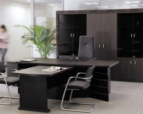 Кабинет руководителя Sirius images