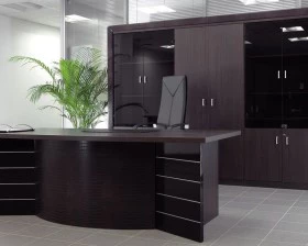 Кабинет руководителя Sirius images