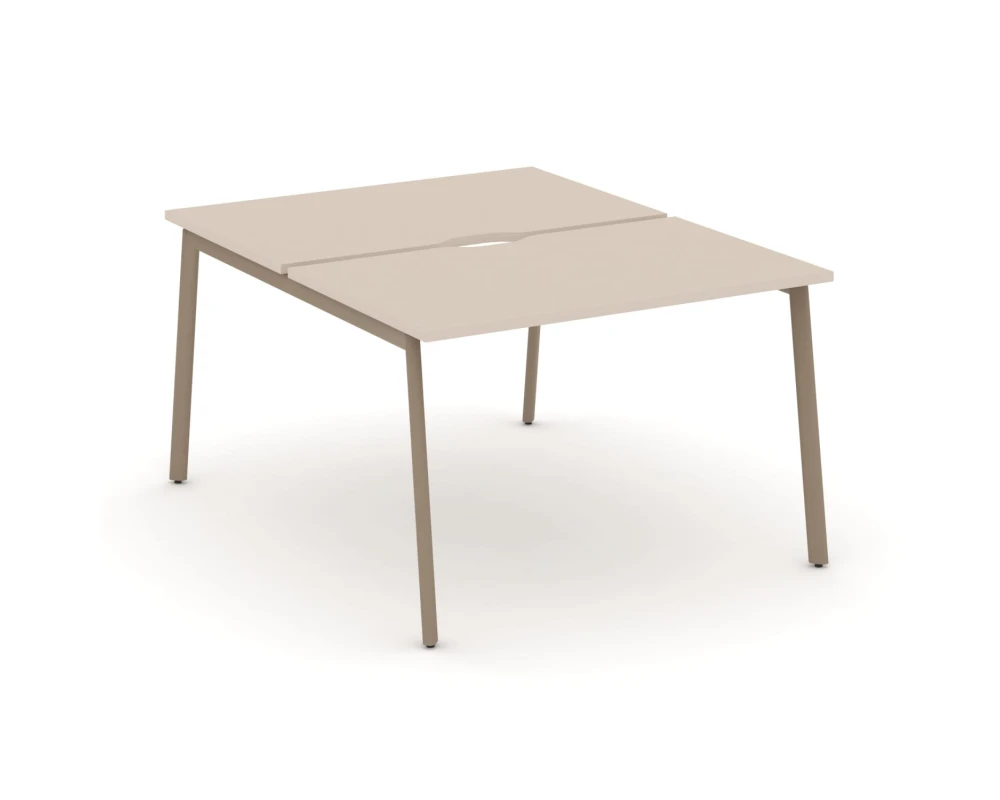 Рабочая станция на 2 места с вырезом на плоскоовальной трубе 118x150x75 Эстетика / Estetica