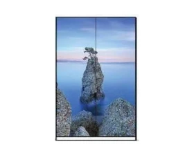 Двери купе ПК-ШК-ДВ223Х120СФП-В1 Формат images