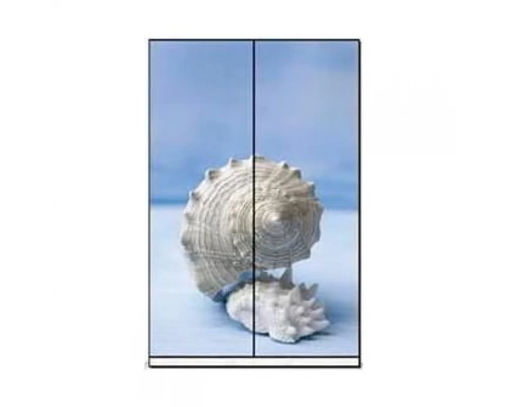 Двери купе ПК-ШК-ДВ223Х120СФП-В1 Формат