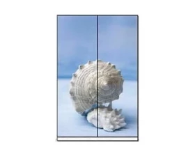 Двери купе ПК-ШК-ДВ223Х120СФП-В1 Формат images