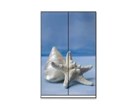 Двери купе ПК-ШК-ДВ223Х120СФП-В1 Формат images