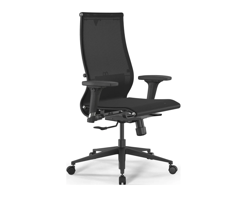 Кресло ErgoLife SynchroSit 10 B2-189D M25.B11.G19.W02 (подл. 1) Сетка, Черный