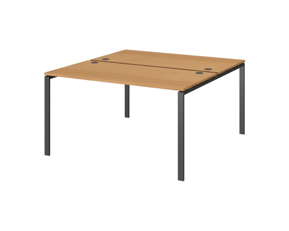 Бенч двойной на 2 рабочих места АМБ-005 Арго-М