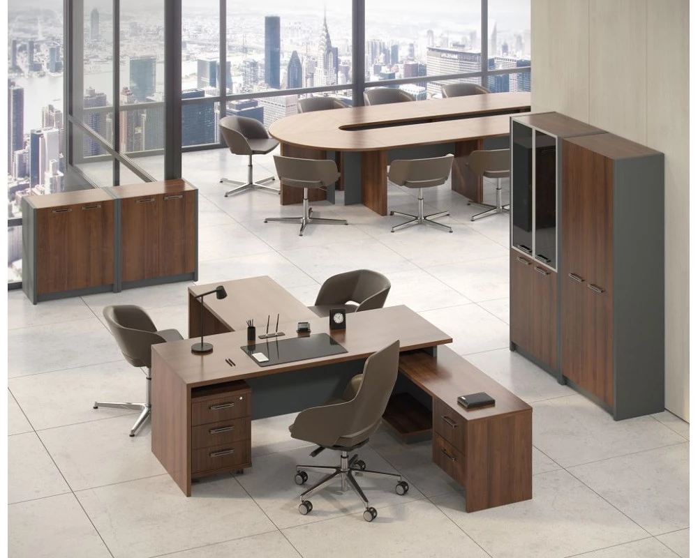 Кабинет руководителя Дельта