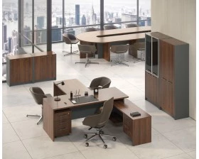 Кабинет руководителя Дельта images