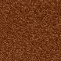 CONSUL-Bicolore-Eichel-6030-Y70R